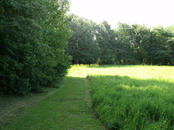 Photo 6"x4" Footpath at Legbourne picnic area Legbourne c2011