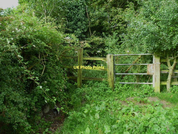 Photo 6"x4" Field corner between Barns Farm and Sullington Manor Farm Sullington c2011
