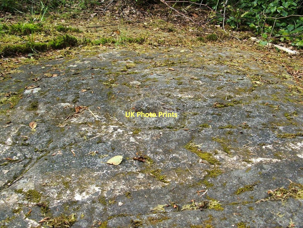 Photo 6"x4" Cup and ring marks on boulder Johnstone\/NS4362 c2011