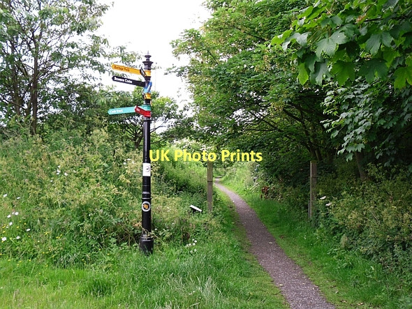 Photo 6"x4" Signpost and footpath North Sunderland c2011