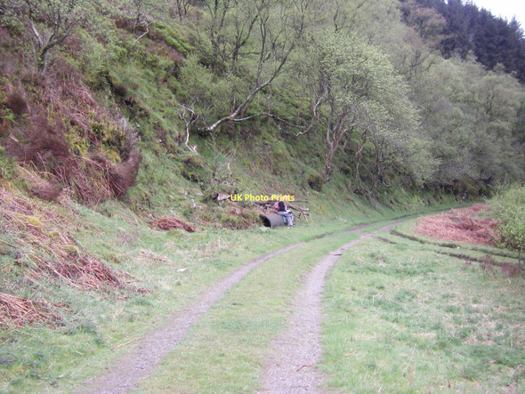 Photo 6"x4" Footpath by the Whitendale River Sykes\/SD6351 c2009