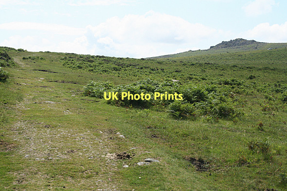 Photo 6"x4" Walkhampton: bridleway below Sharpitor Sampford Spiney c2011