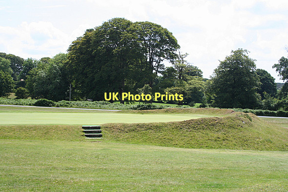 Photo 6"x4" Whitchurch: green by the Sampford Spiney road Tavistock c2011