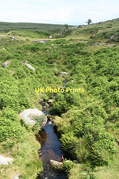Photo 6"x4" Walkhampton: tributary of the Walkham Princetown\/SX5873 c2011