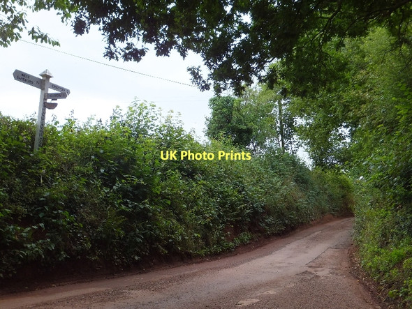 Photo 6"x4" Brandirons Corner Elston\/SS7802 c2011