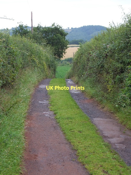Photo 6"x4" Track to Barn Farm, and the Yeo Valley Hollacombe\/SS8000 c2011