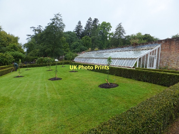 Photo 6"x4" Pelargonium House at Stourhead Stourton\/ST7734 c2011