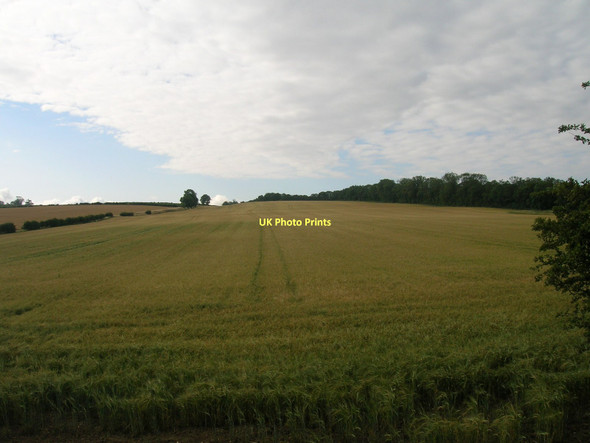 Photo 6"x4" Farmland near the River Humber South Ferriby c2011