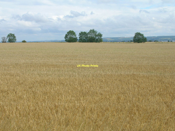 Photo 6"x4" Farmland north of Mere Lane (A1077) West Halton c2011
