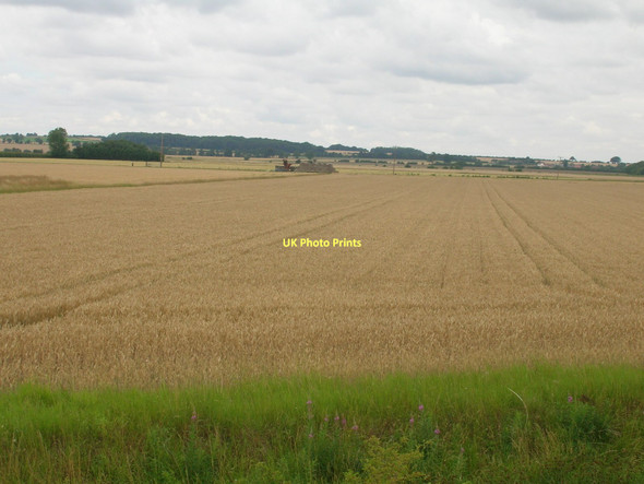Photo 6"x4" Farmland near the Humber Winteringham c2011