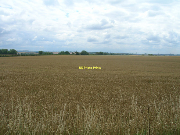 Photo 6"x4" Farmland off Whitton Road Alkborough c2011