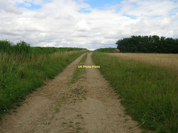 Photo 6"x4" Farm track off West Halton Lane Alkborough c2011