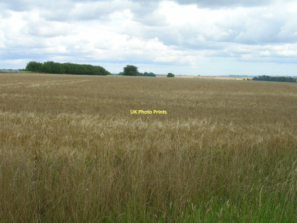Photo 6"x4" Farmland off West Halton Lane Alkborough c2011