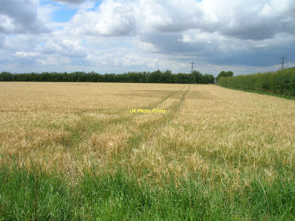 Photo 6"x4" Farmland near Coleby Wood Burton Stather c2011