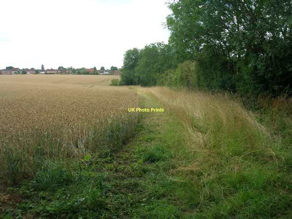 Photo 6"x4" Field margin near Burton upon Stather Burton Stather c2011