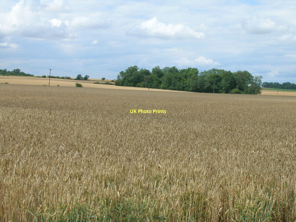 Photo 6"x4" Farmland, West Halton West Halton c2011