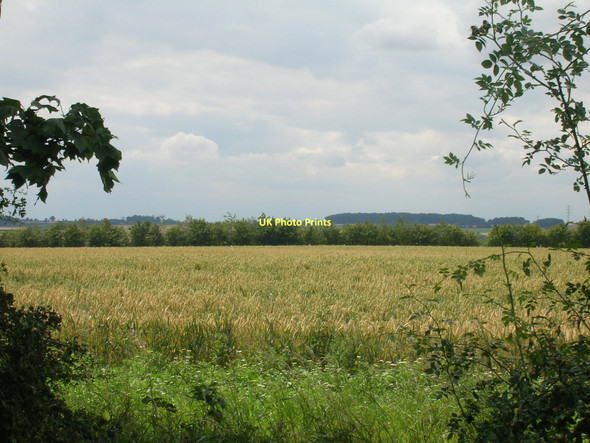 Photo 6"x4" Farmland off the A1077 West Halton c2011