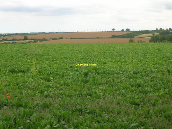 Photo 6"x4" Farmland off the A1077 Barton-Upon-Humber c2011