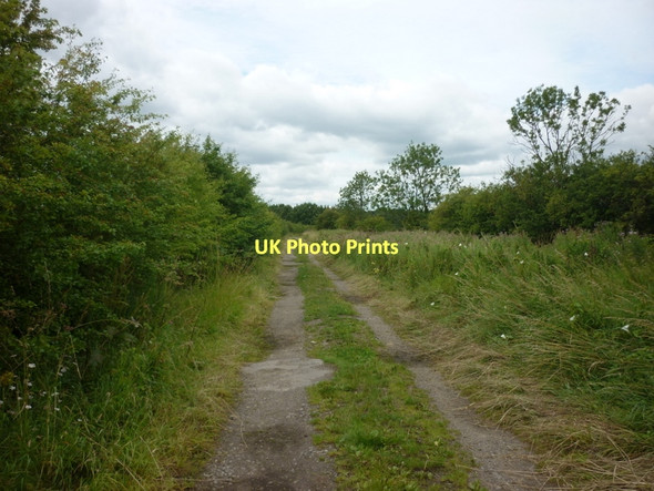Photo 6"x4" A bridleway leading to Tank Plantation Allerthorpe c2011
