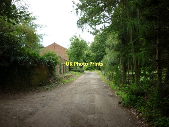 Photo 6"x4" A public footpath towards Allerthorpe Common Allerthorpe c2011