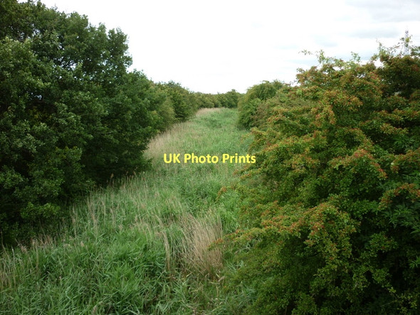 Photo 6"x4" Pocklington Canal, at Coat's Bridge Allerthorpe c2011