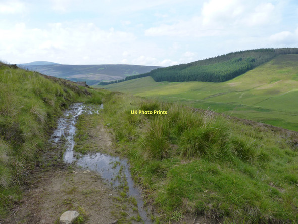 Photo 6"x4" The ministers muddy path Balnaboth\/NO3166 c2011