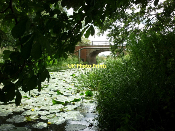 Photo 6"x4" Pocklington canal at Hagg Bridge Storwood c2011