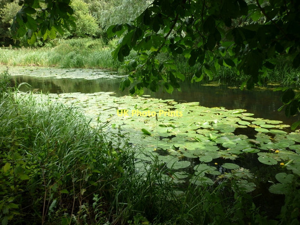Photo 6"x4" Pocklington canal at Hagg Bridge Storwood c2011