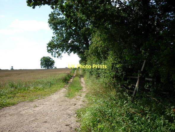 Photo 6"x4" A footpath off Gilsthwaite Lane Green Hammerton c2011