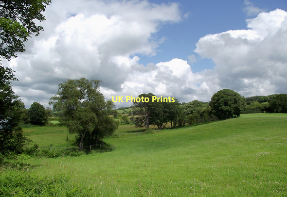 Photo 6"x4" Pasture near Llangybi, Ceredigion Llanfair Clydogau c2011