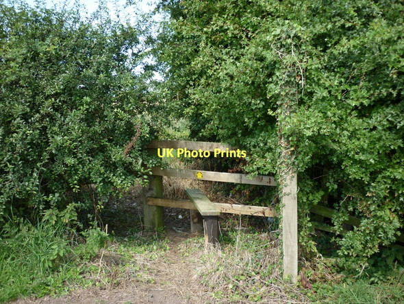 Photo 6"x4" A footpath to the A168 (the old A1) Hunsingore c2011