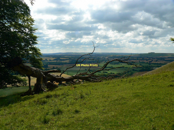 Photo 6"x4" View south-west from Martinsell Hill. near Clench Common Clench Common c2011