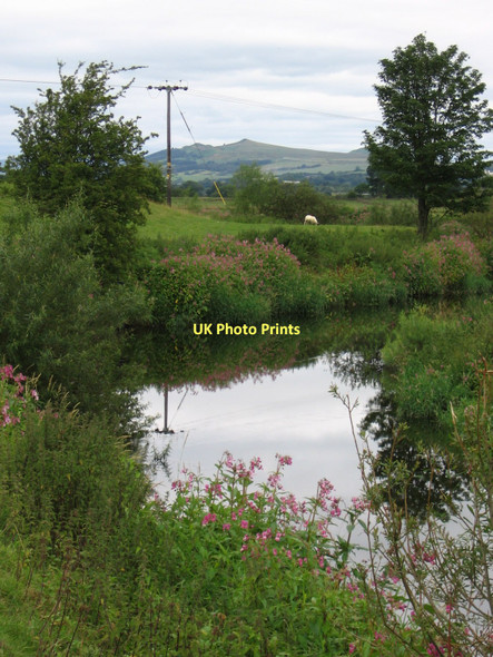 Photo 6"x4" Cononley - bend in River Aire Aire View c2011