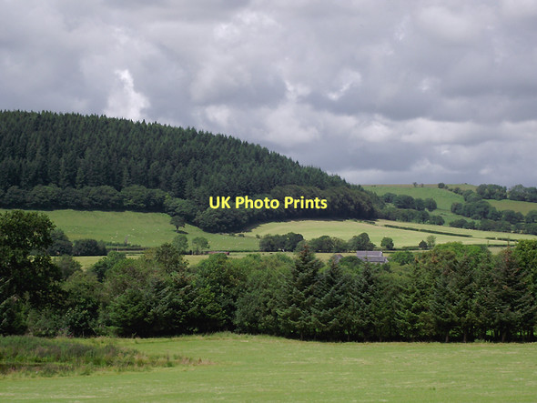 Photo 6"x4" Farmland and forest near Llangybi, Ceredigion Llanfair Clydogau c2011