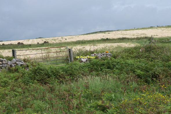 Photo 6"x4" Inland near Paviland cave Overton\/SS4685 c2011