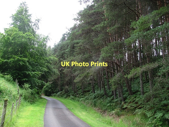 Photo 6"x4" Road, Inchmagrannachan Inver\/NO0142 c2011