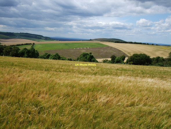 Photo 6"x4" View towards Lower Standean Pyecombe c2011
