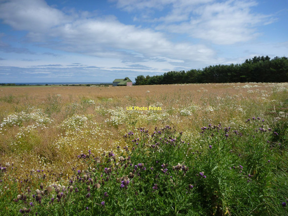 Photo 6"x4" East Lothian Landscape : A Distant View of The Barn at New Mains, near Whitekirk Whitekirk c2011