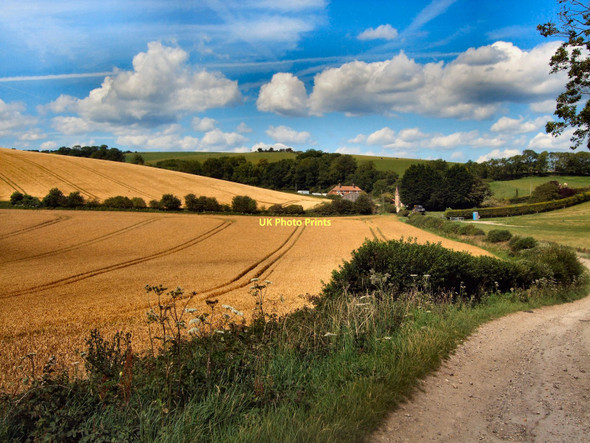 Photo 6"x4" Farmland south of Lower Standean Pyecombe c2011