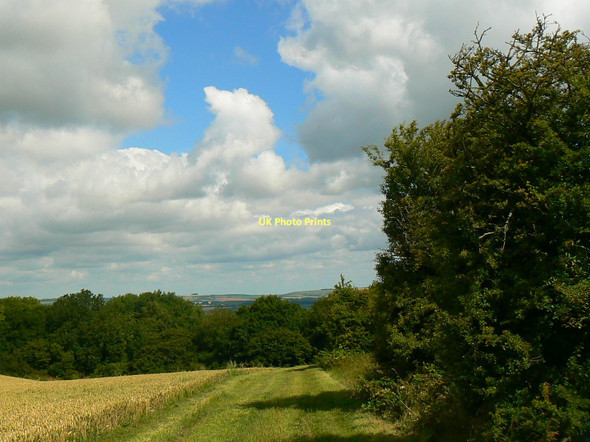 Photo 6"x4" Footpath north along Martinsell Hill, near Clench Common Clench Common c2011