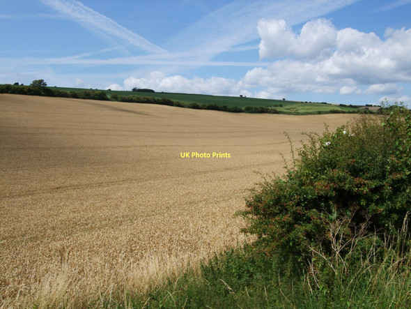 Photo 6"x4" Farmland near Standean Cottage Patcham c2011