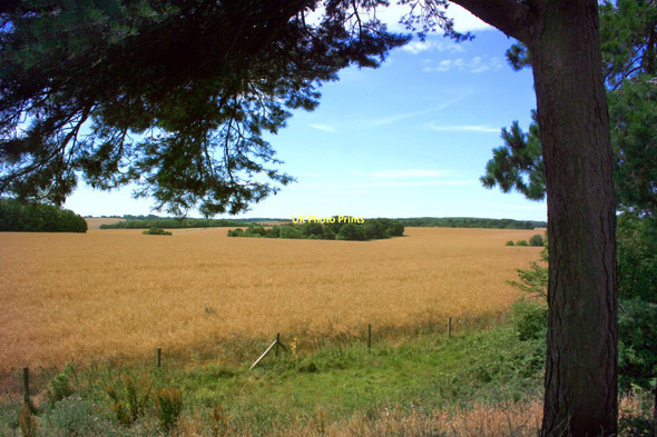 Photo 6"x4" Farmland near Scutchamer Knob East Ginge c2011