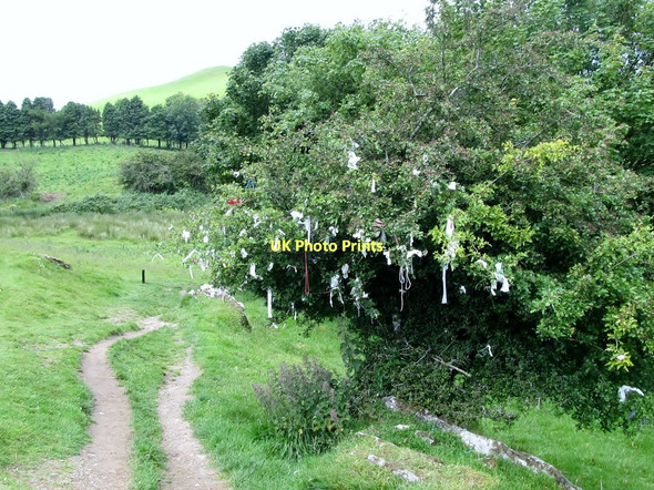 Photo 6"x4" Path leading from Loughcrew to the car park past the Wishing Tree Drumone c2011