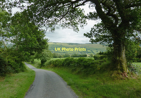 Photo 6"x4" Lane towards Pont Gogoyan, Ceredigion Cockshead c2011