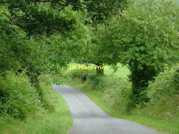 Photo 6"x4" Lane towards Pont Gogoyan, Ceredigion Cockshead c2011 P1