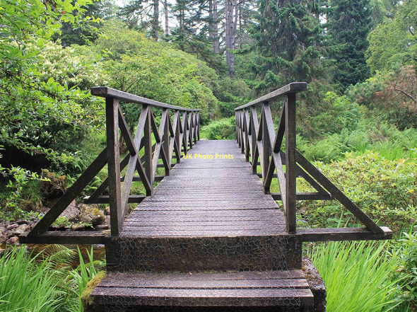 Photo 6"x4" Footbridge over stream in Crarae Gardens Crarae c2011