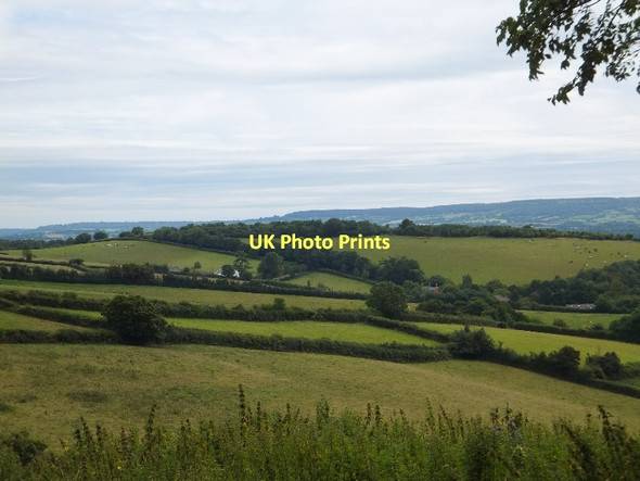 Photo 6"x4" Castle Hill from Beacon Road Bradninch\/SS9903 c2011
