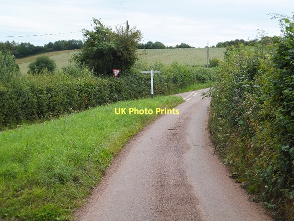 Photo 6"x4" Road junction on Rode Moors Bradninch\/SS9903 c2011