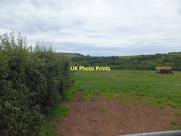 Photo 6"x4" Field and woods on Rode Moors Trinity\/SS9905 c2011