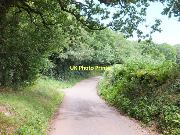 Photo 6"x4" Dorweeke Cross: the road north to Figtree Farm Bickleigh\/SS9407 c2011